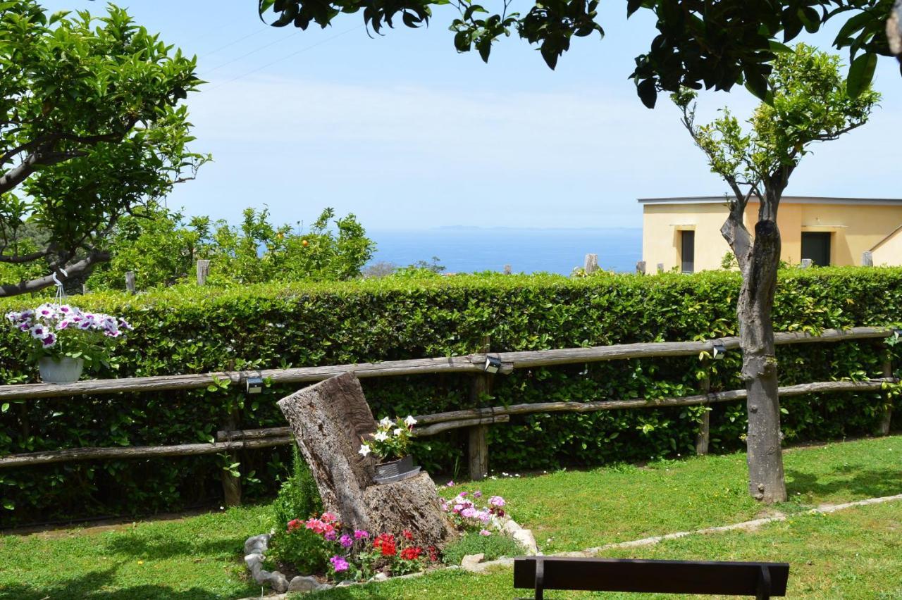 Sara'S Sweet Corner Bed & Breakfast Meta Dış mekan fotoğraf
